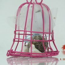 Ş-129 ÇAN KAFES PEMBE